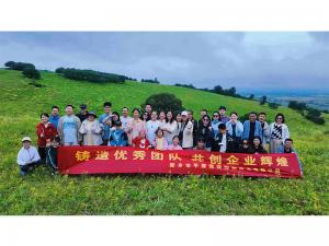 从空调房到草原天路，公司带你解锁夏日新体验。